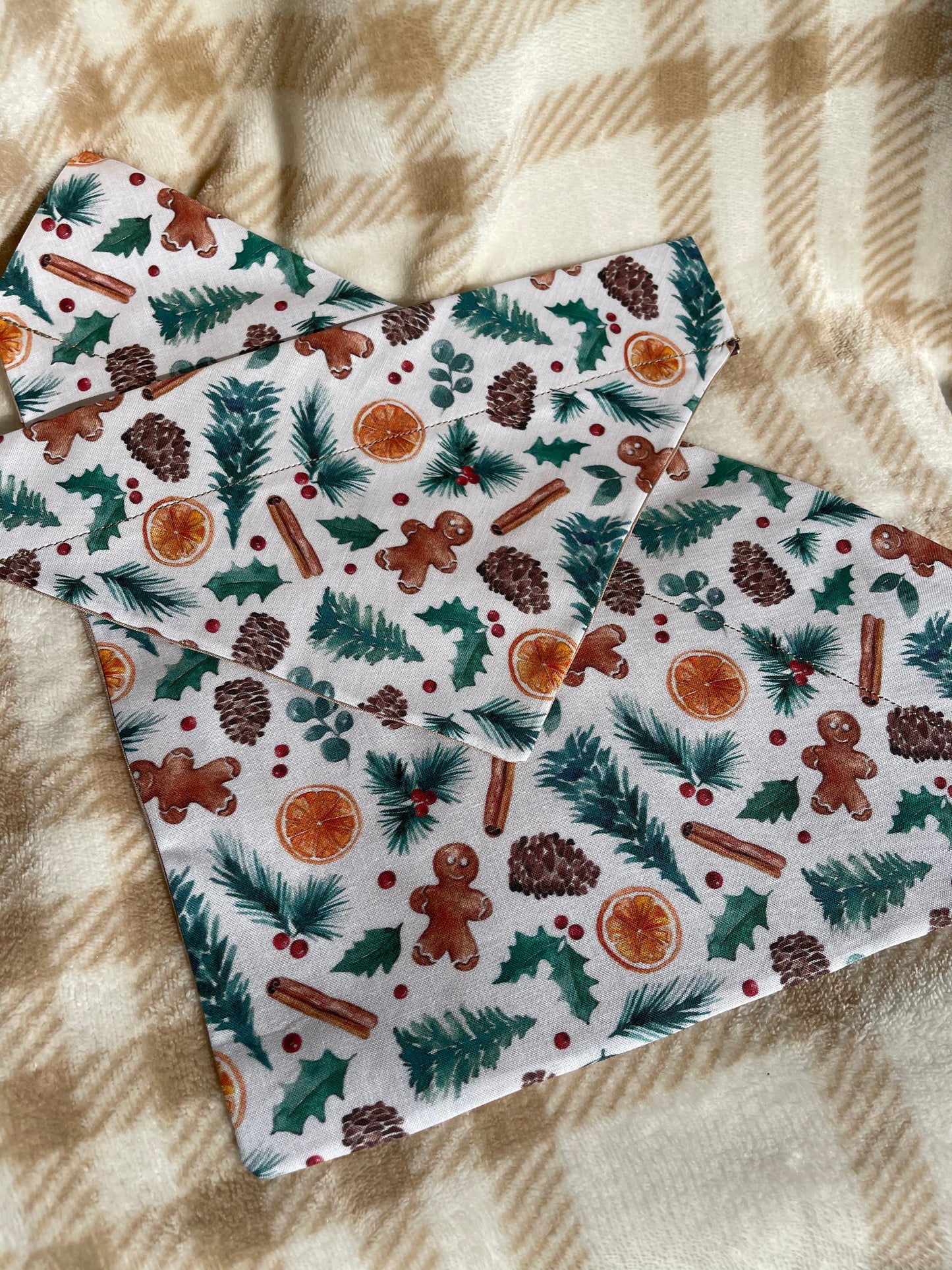 Winter recipe Bandana