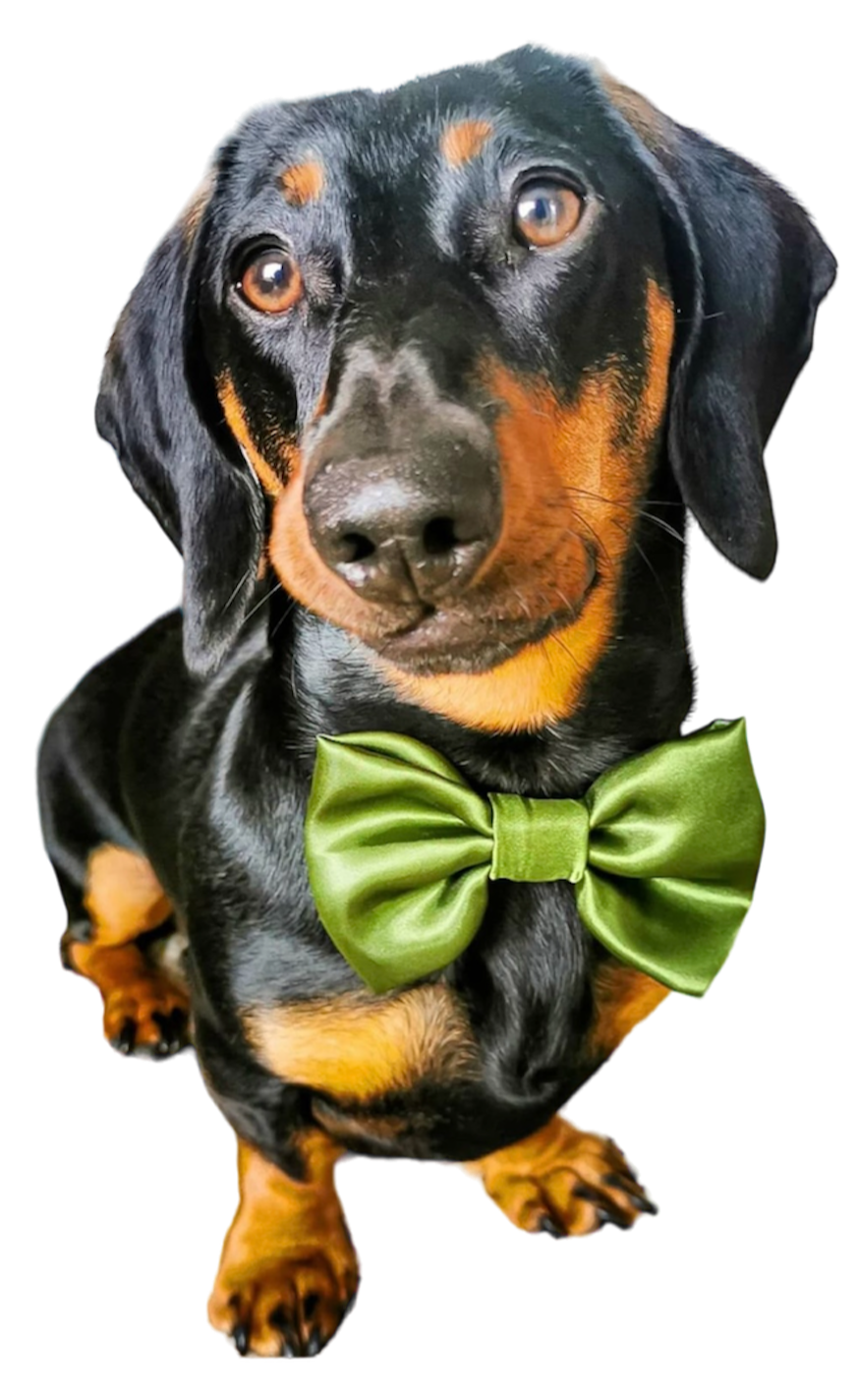 Olive SATIN Bow-Tie