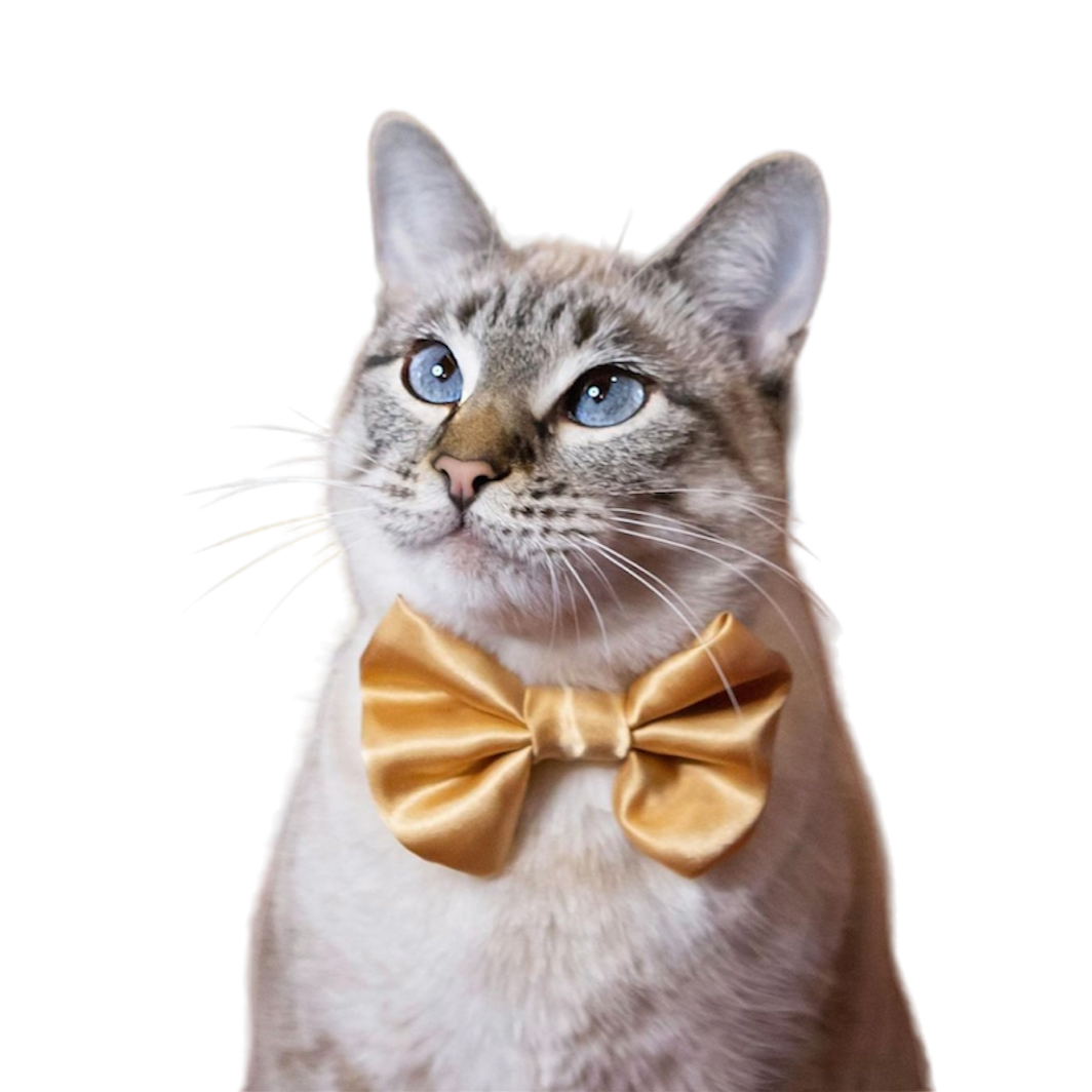 Gold SATIN Bow-Tie